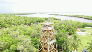 Everglades City Lookout Tower