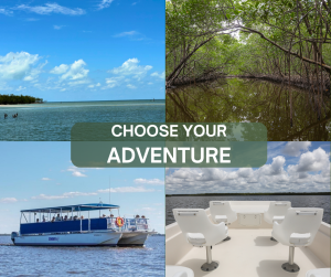 Everglades Adventure