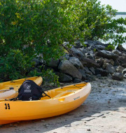 Two yellow kayaks on the shore next to some trees and rocks