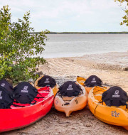 1 red kayak and 4 orange kayaks on the sandy beach with view of water and horizon
